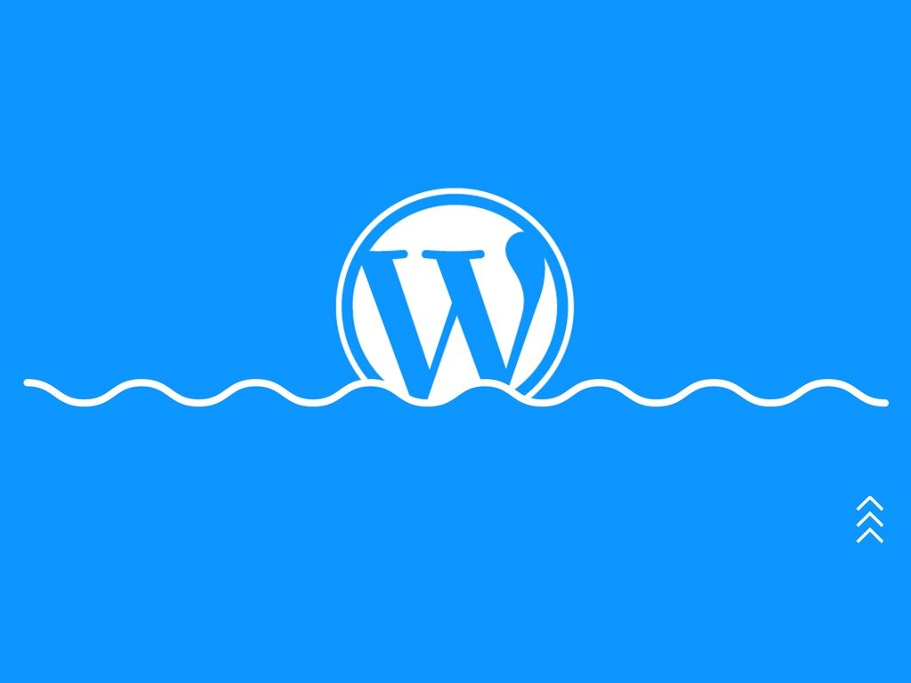 Enter WordPress